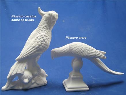 PASSARO CACATUA SOBRE AS ROMAS