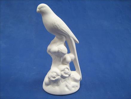 PASSARO CANARIO